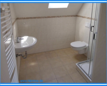 Reizvolle Wohnung mit Loftcharakter ! – auch für Studenten – - Bad mit Dusche (366476)