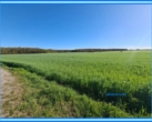 Acker bei Chörau - 3,3 ha Ackerland bei Chörau und Dessau Mosigkau